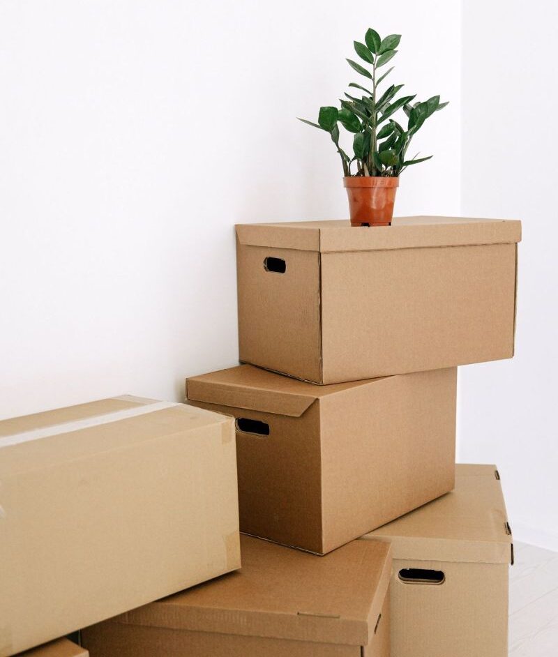Website Migration Support 2 stack of moving boxes